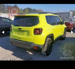 جيب رينيجيد